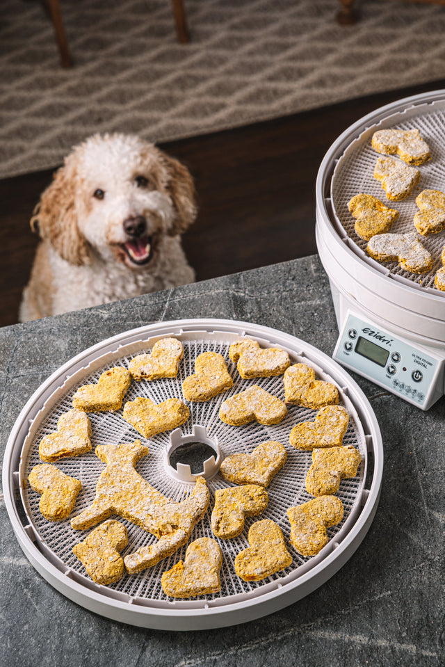 Homemade Pumpkin & Peanut Butter Dog Treats